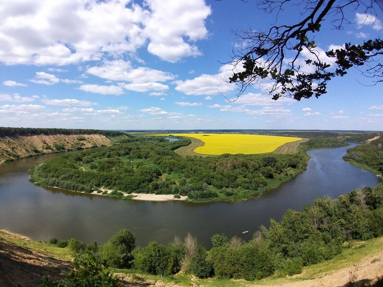 Фотография #13432440