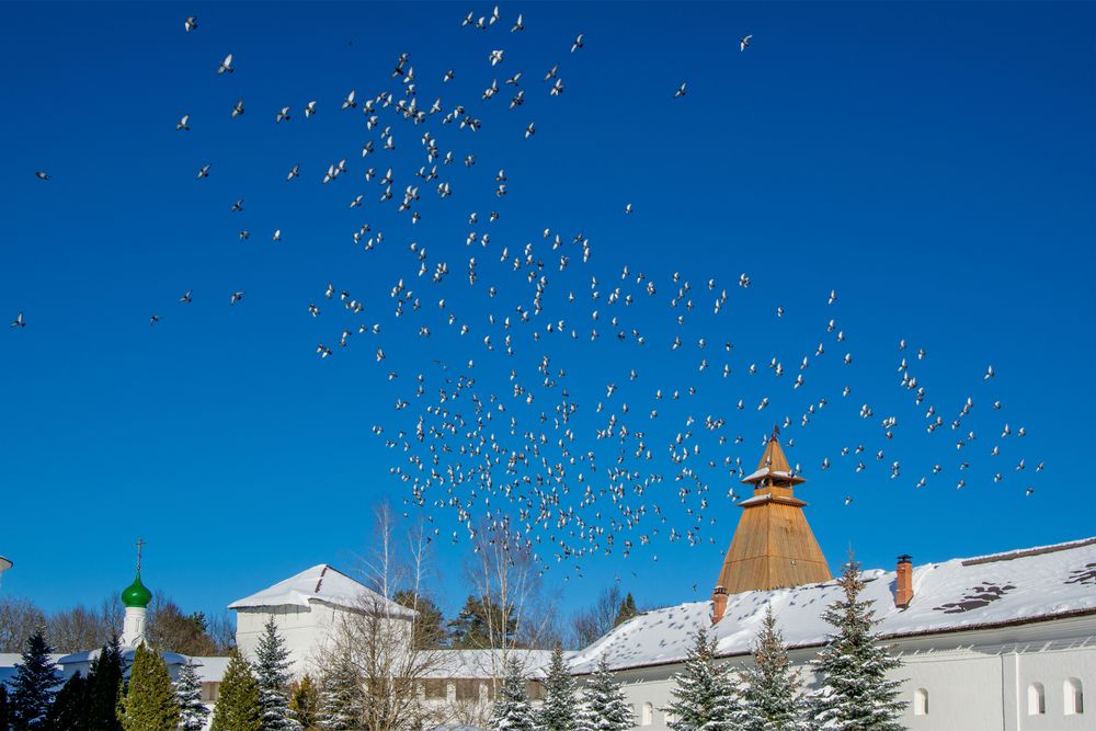 Photograph by Александр Порохов