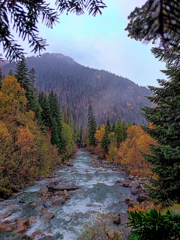 Горная река в Домбае