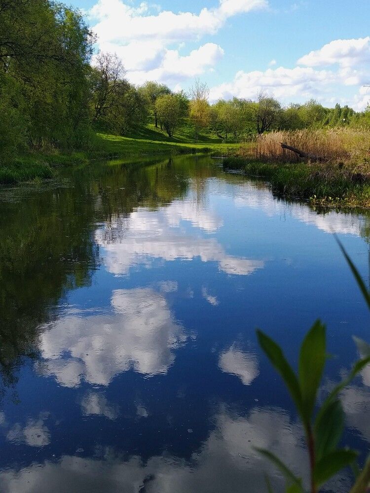 Photograph by Ия Дирко
