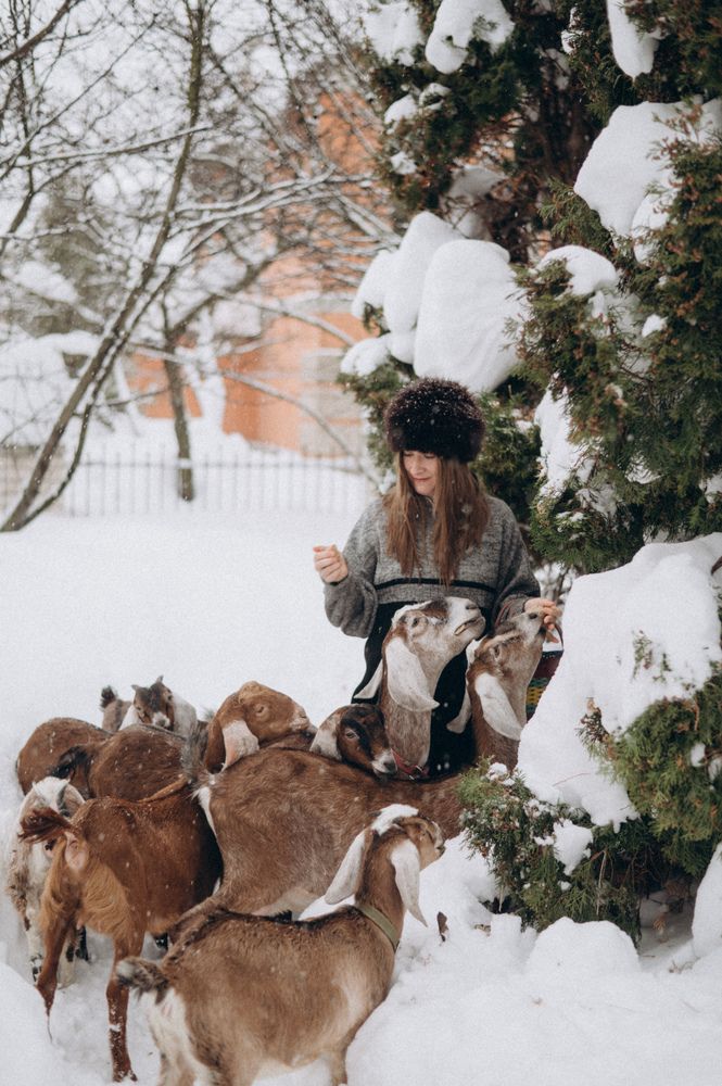 Photograph by Светлана Субботина