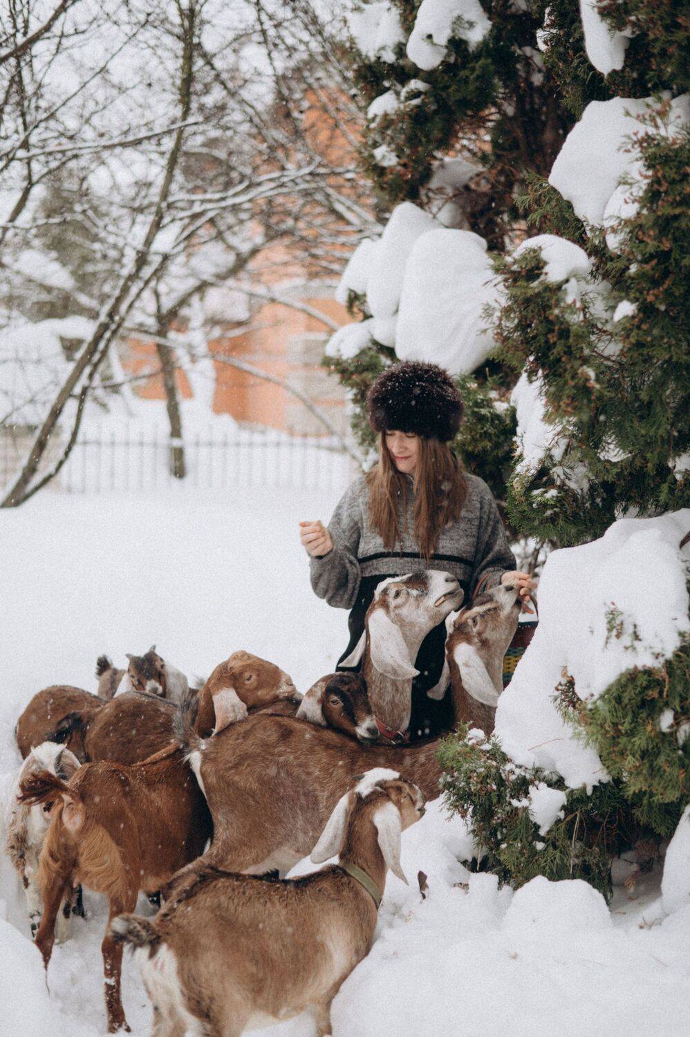 Фотография #13432519