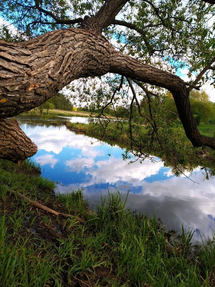 Photograph by Ия Дирко