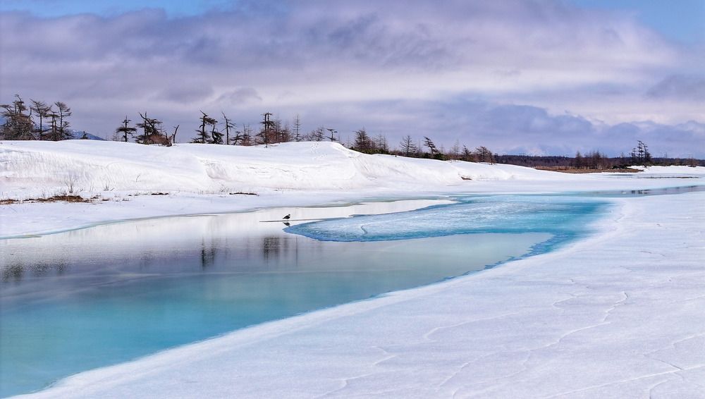Пробуждение реки Речки