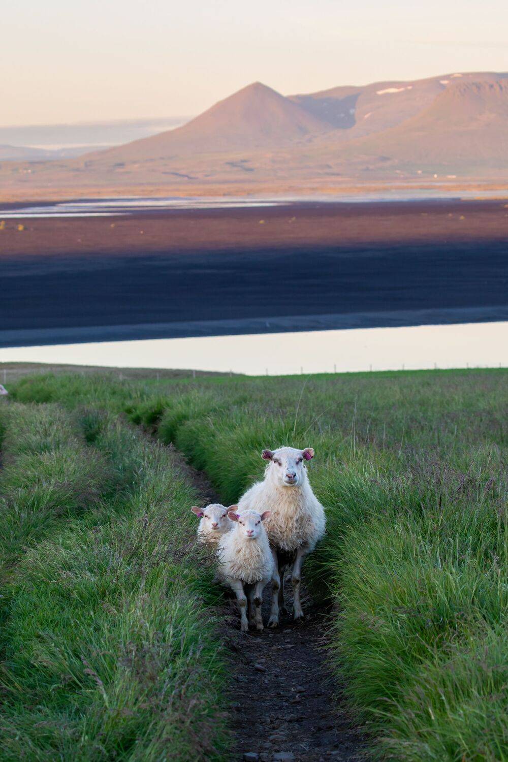 Фотография #13432685