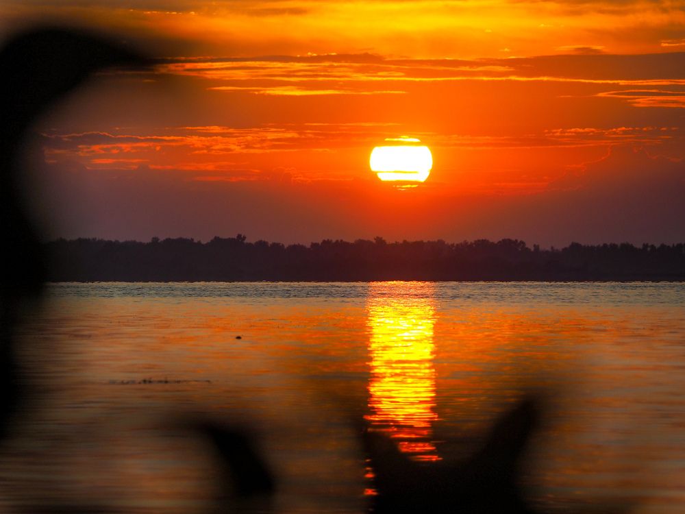 Photograph by Светлана Шибаршина