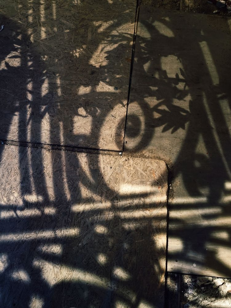 Photo #13432733