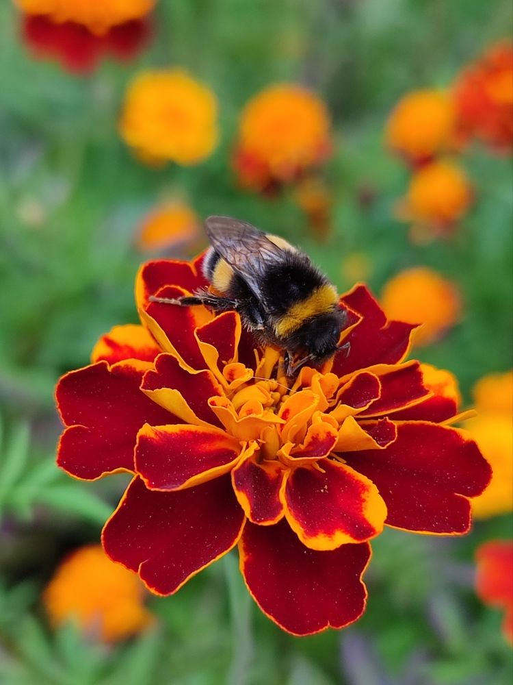 Photograph by Galina Novichkova