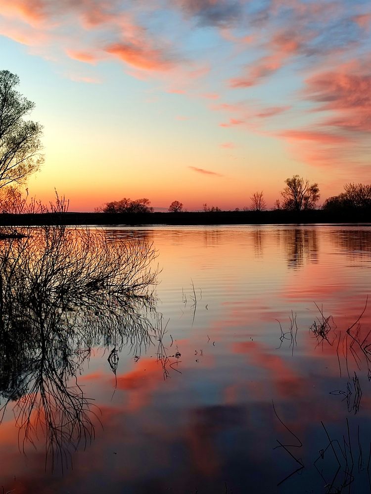 Photograph by Galina Novichkova