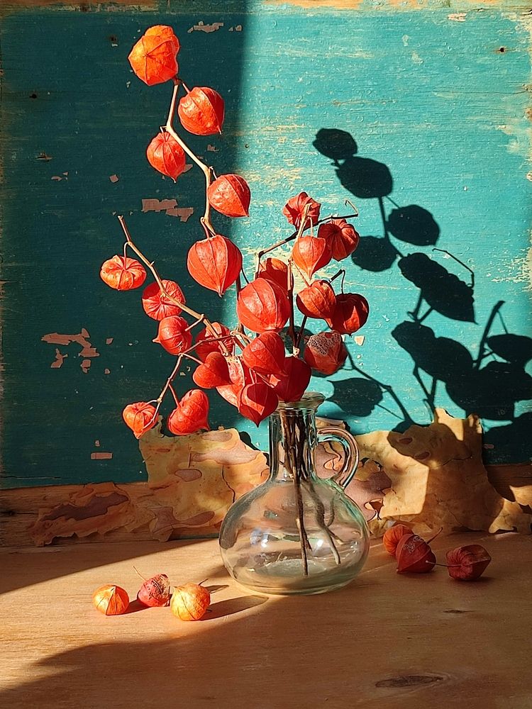 Photograph by Galina Novichkova