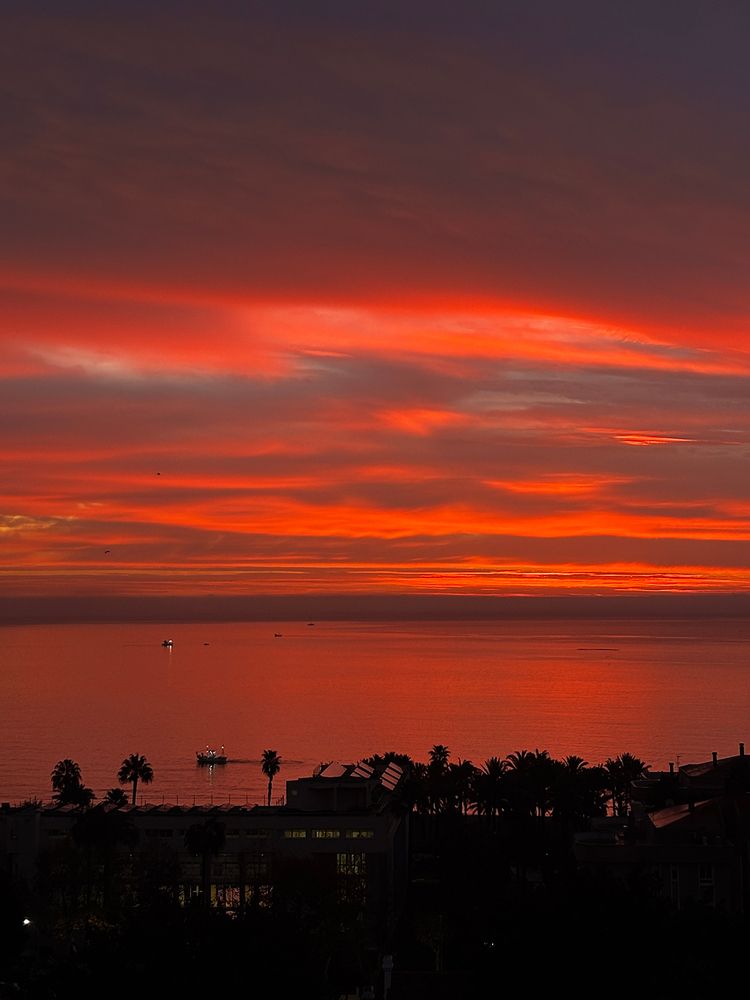 Photograph by Anastasiia