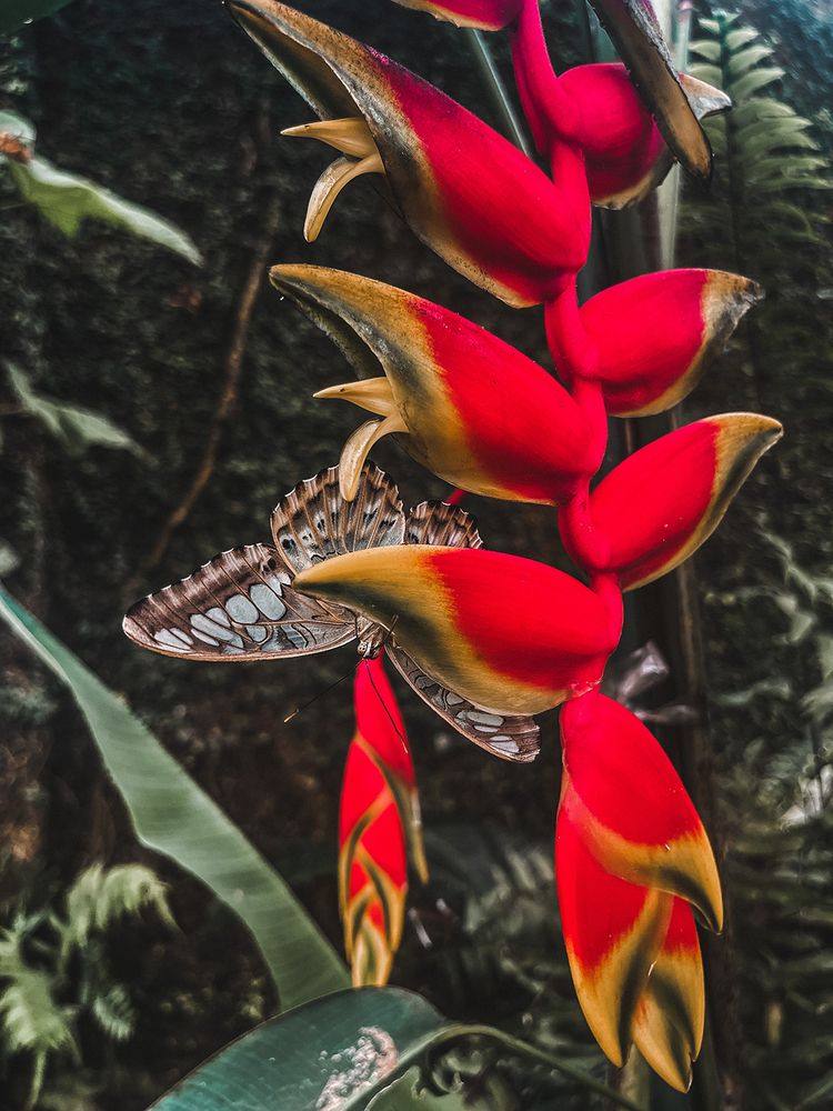 Photograph by Anastasiia