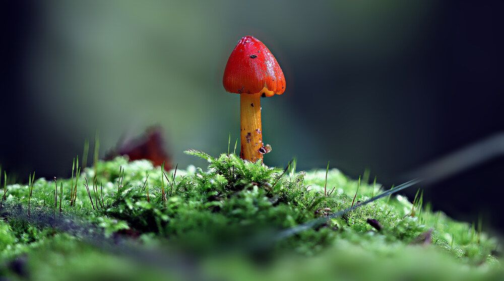 Фотография автора Sergey