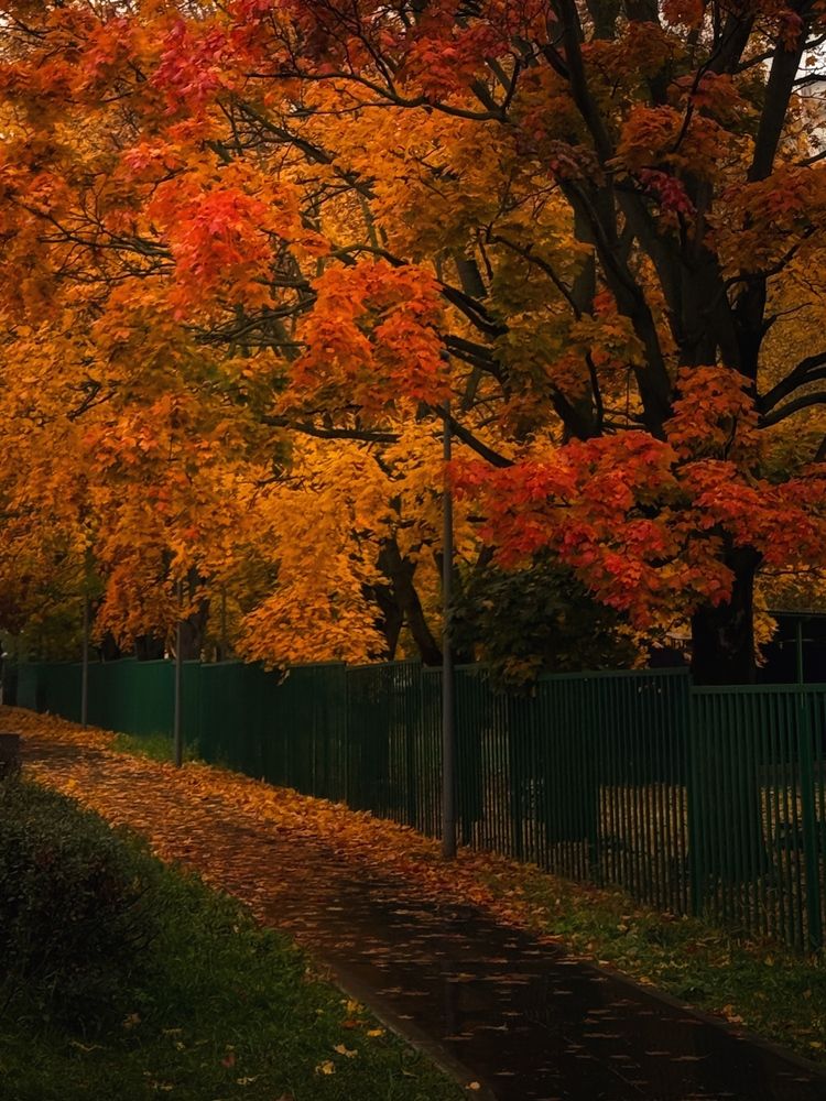 Photograph by Tatiana Grinko