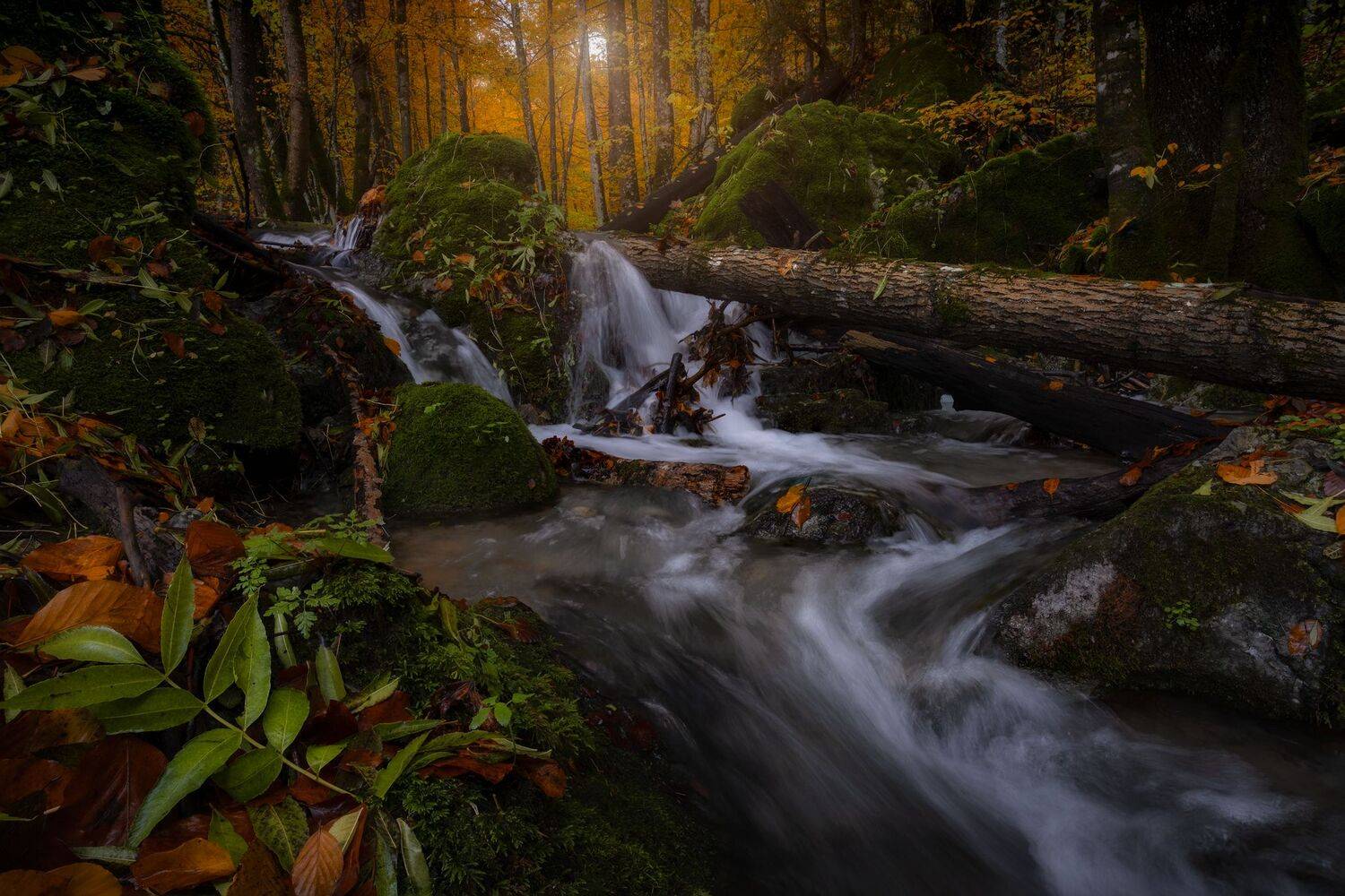 Фотография #13432923