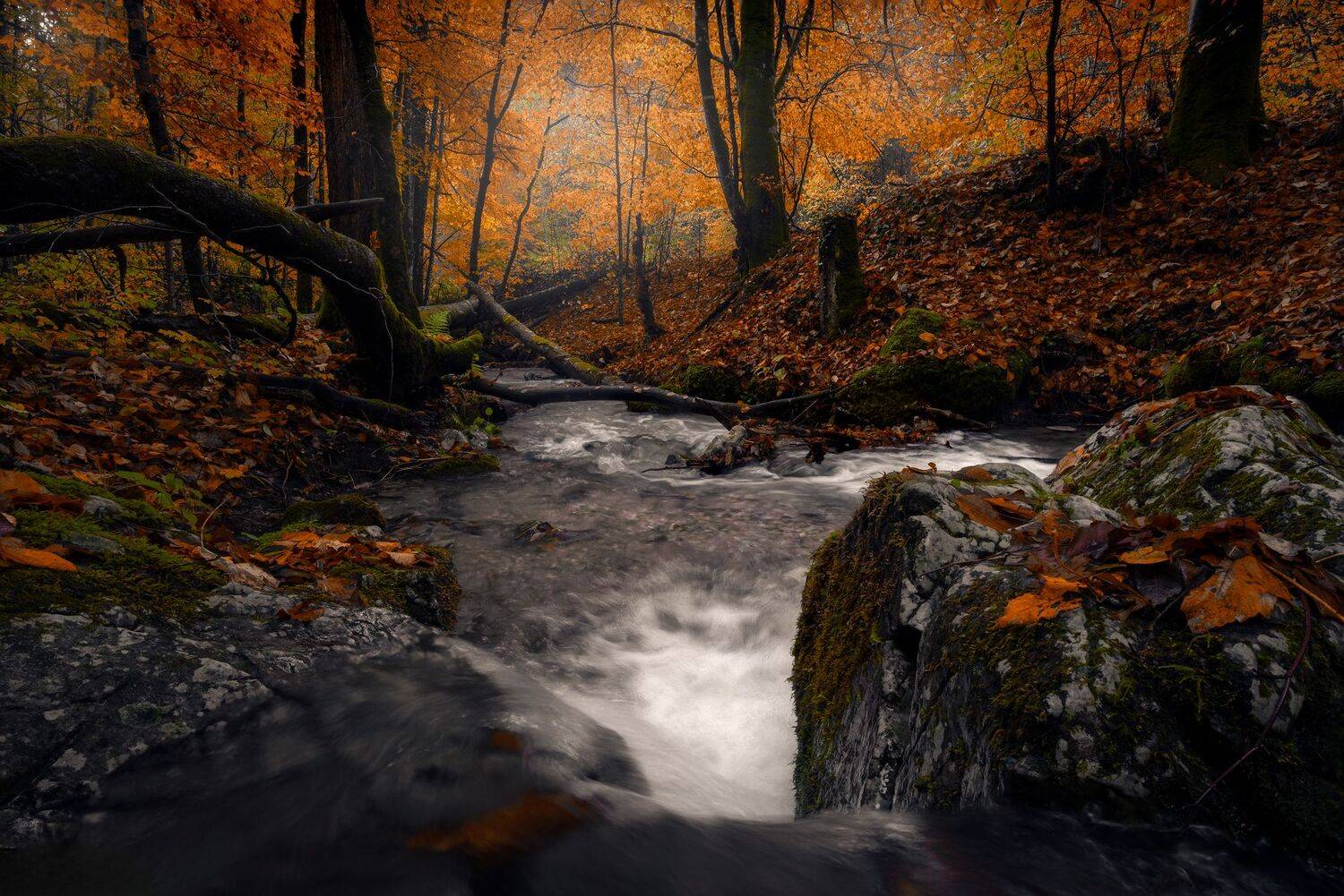 Фотография #13432924