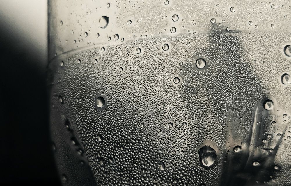 Photo #13432927