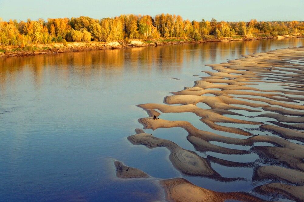 Осень на реке Тавда