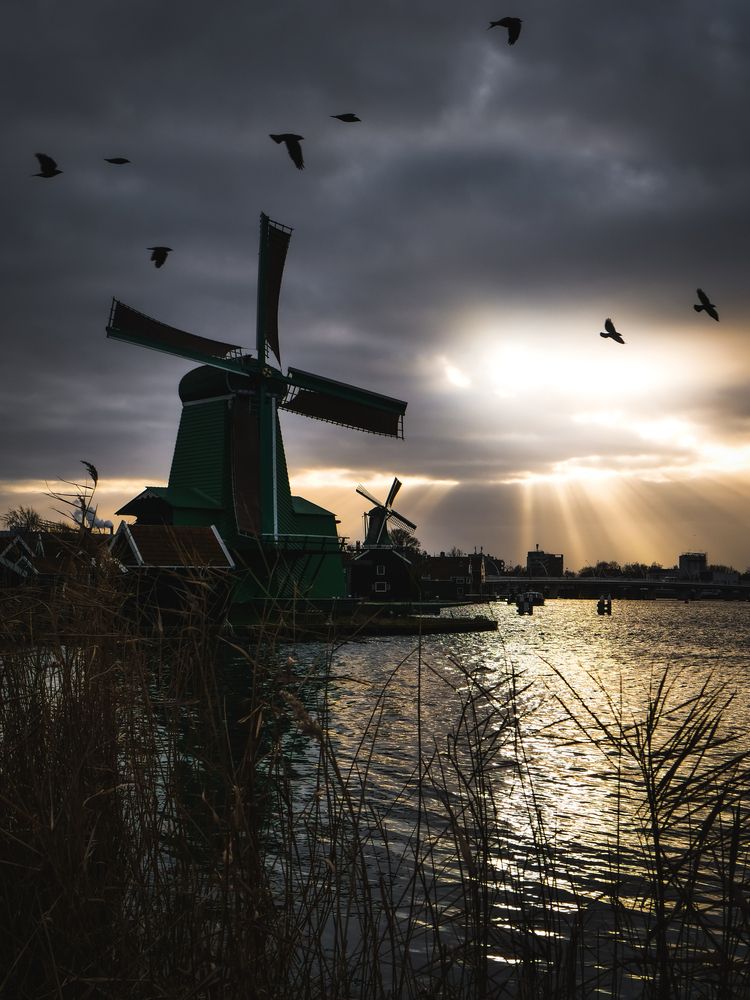 Photograph by Maxime Mienne