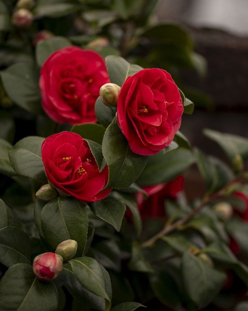 Photograph by Jagannath Madduri