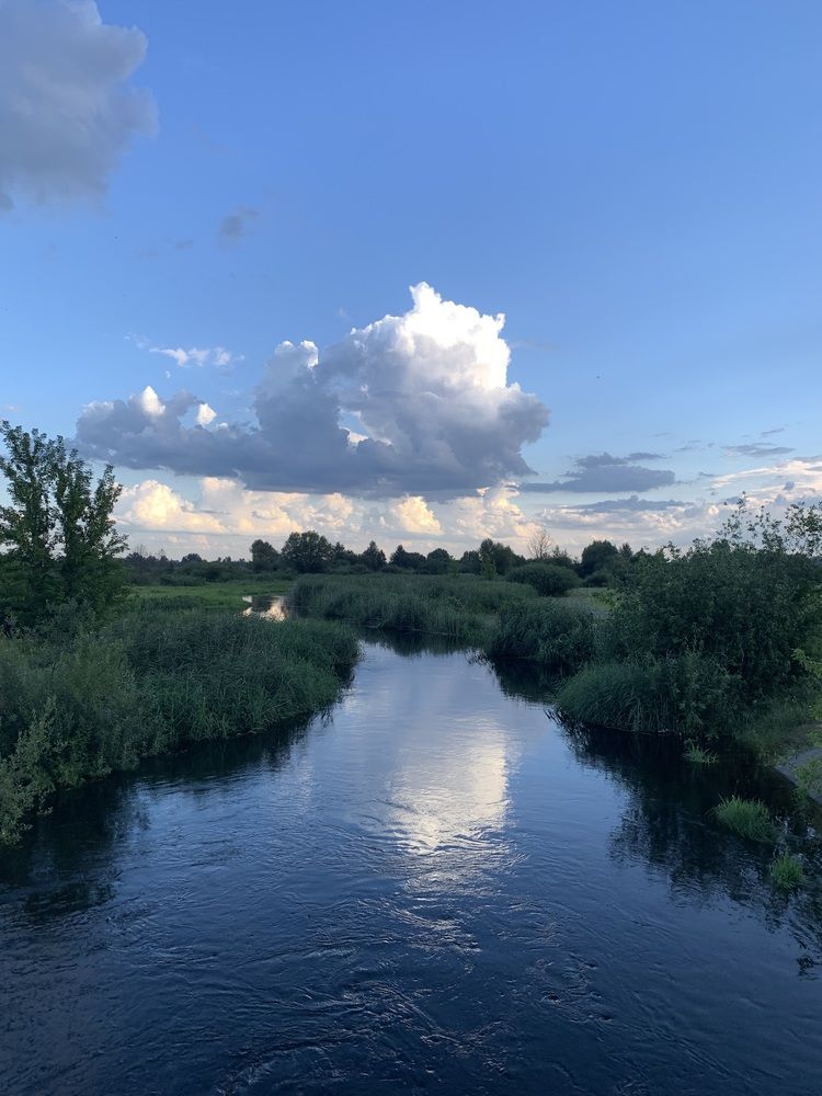 Photograph by Ирина Шпаковская