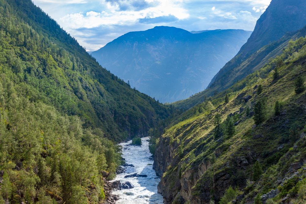 Photograph by Галина Молчанова