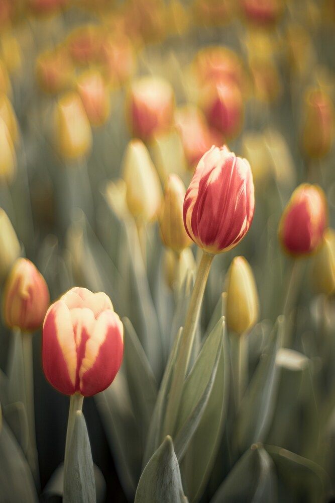 Photograph by Сергей Белокуров