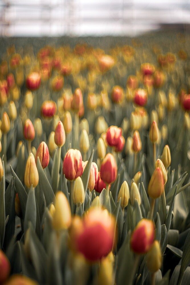 Photograph by Сергей Белокуров