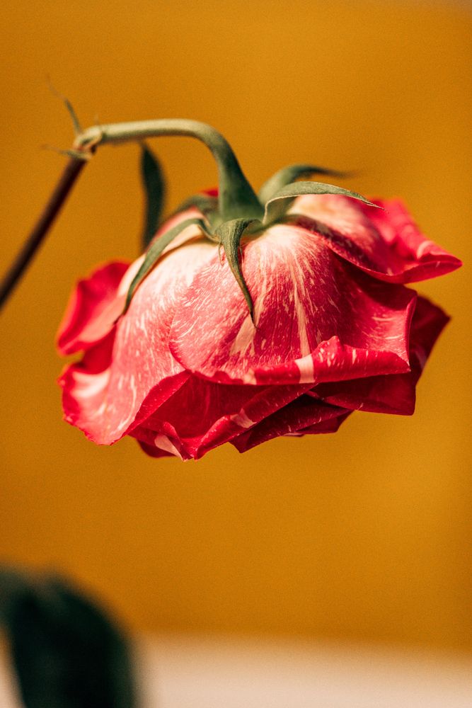 Photograph by Сергей Белокуров