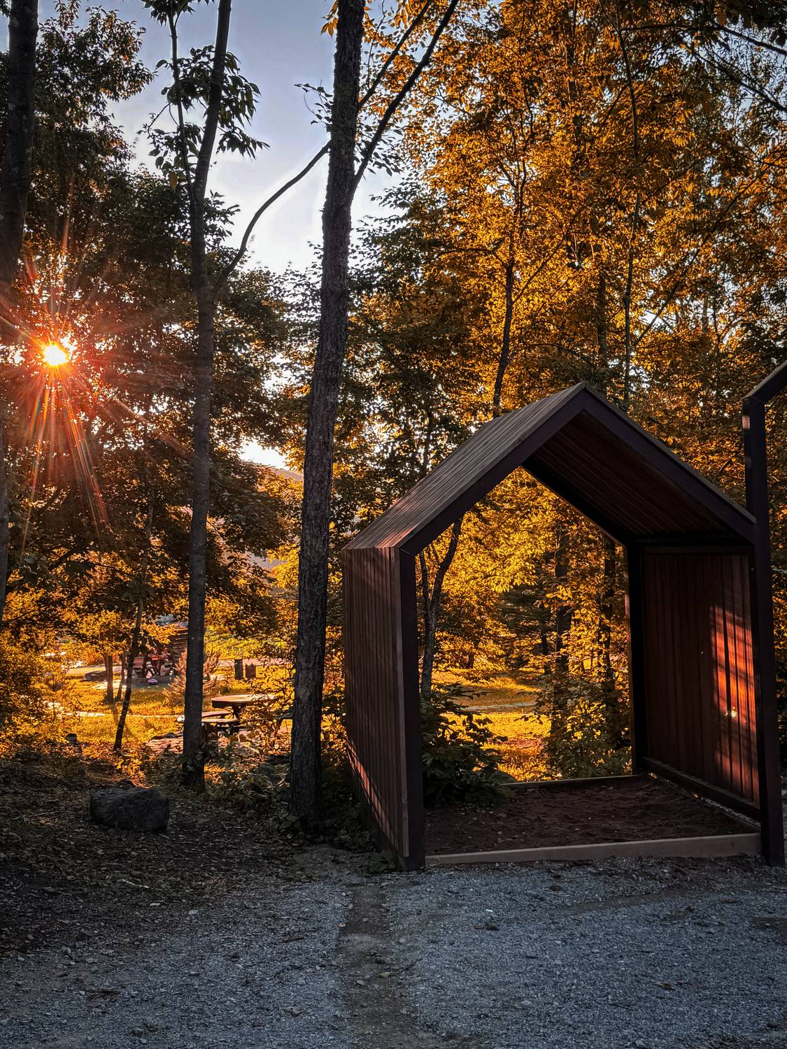 Фотография #13433075