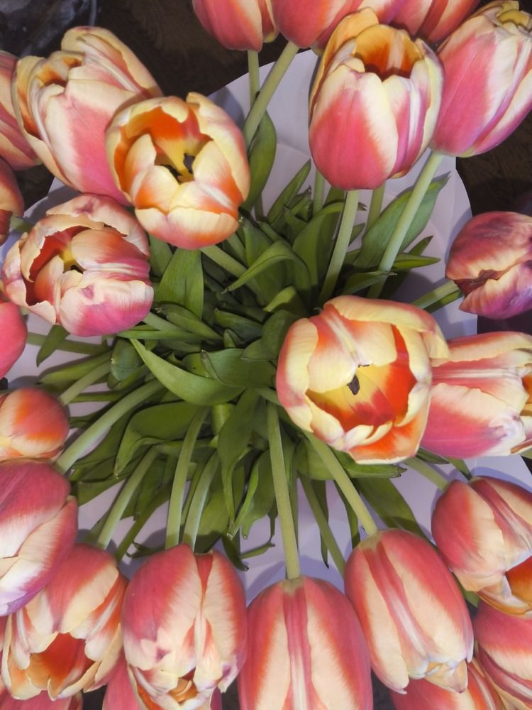 Photograph by Зина Хаимова