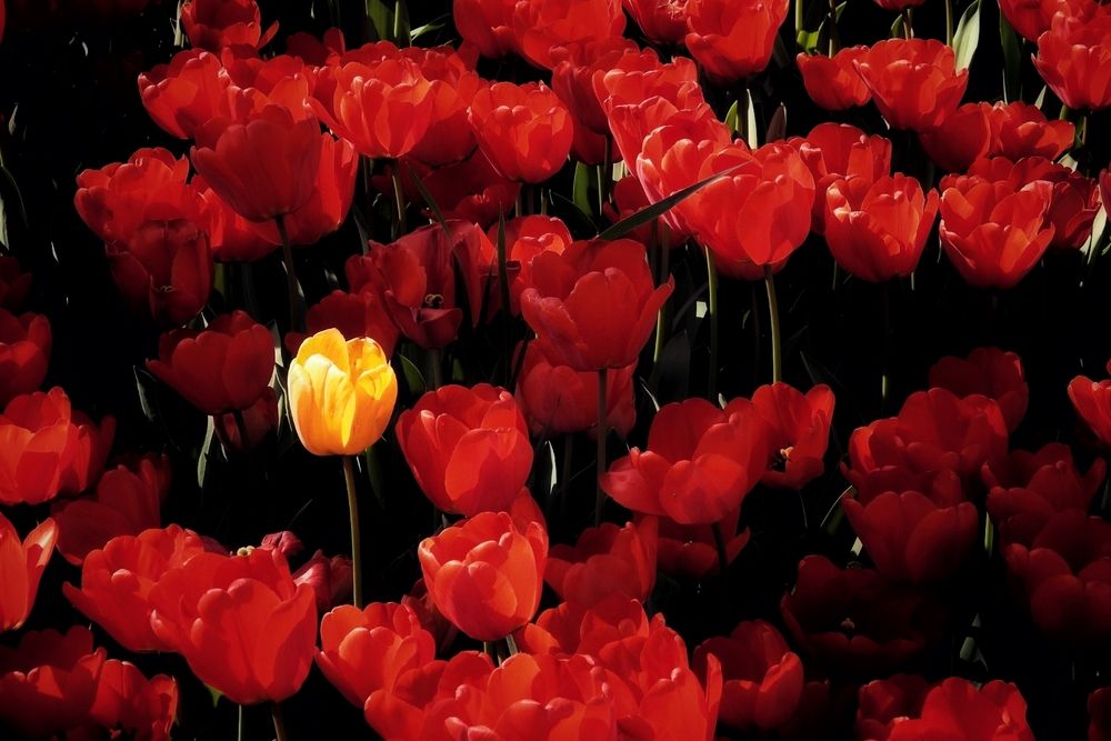 Photograph by fuat cimok