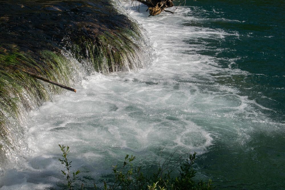 Photo #13433135