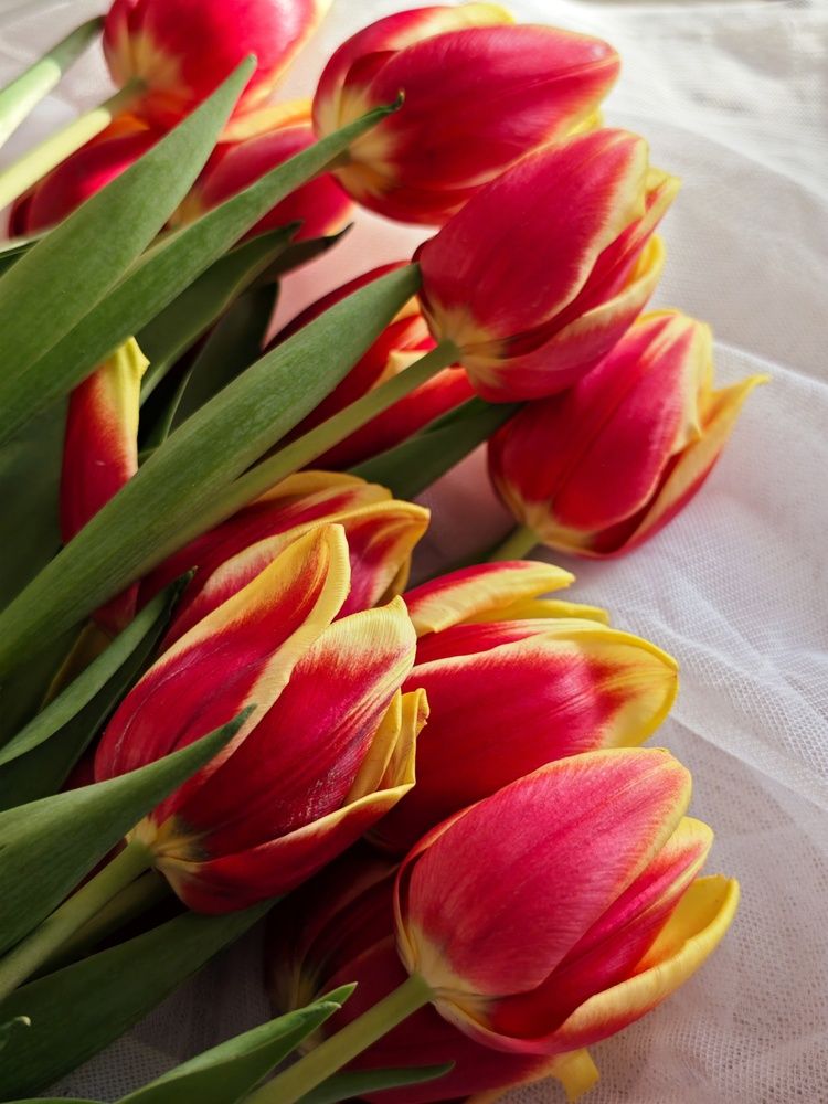 Фотография автора Татьяна Соколовская