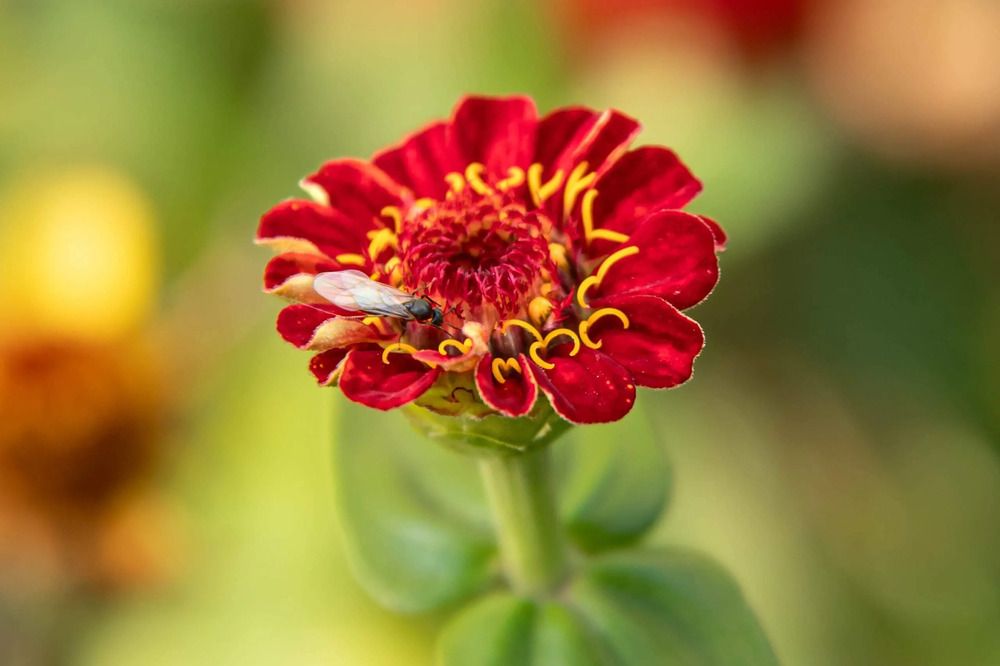 Photograph by Юрий Десятов