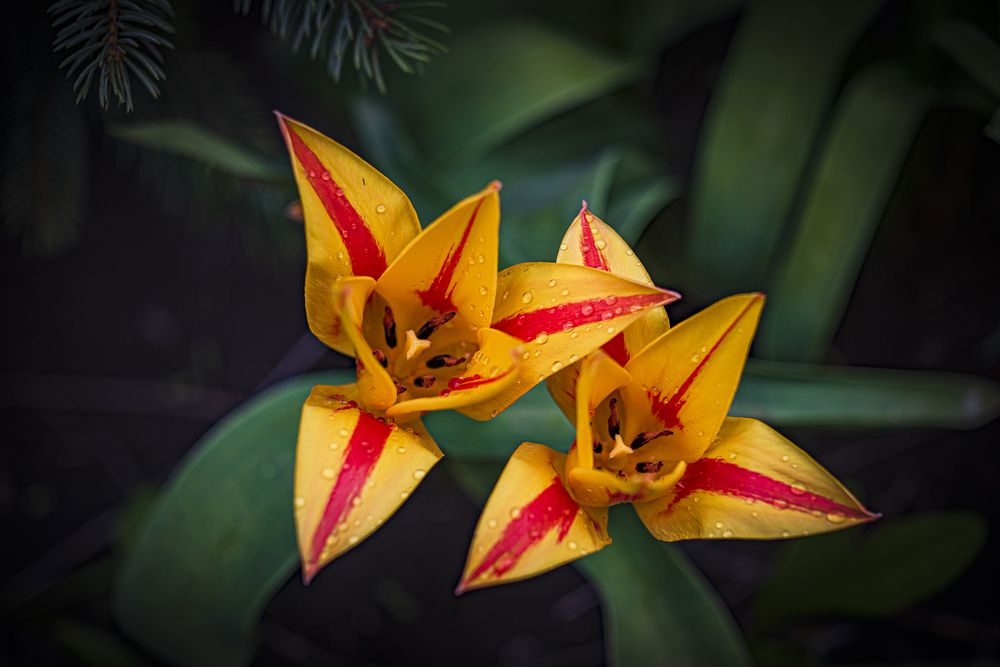 Photograph by Алексей Мякота