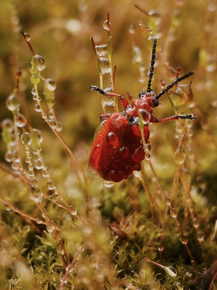 Фотография автора Андрей Васильев