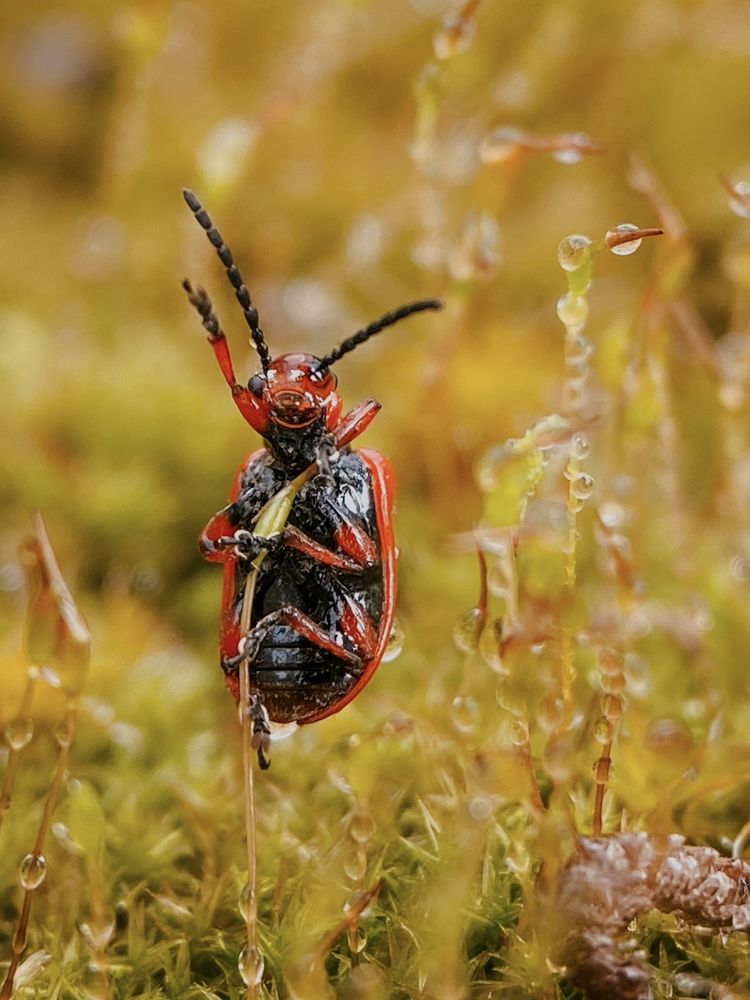 Фотография автора Андрей Васильев
