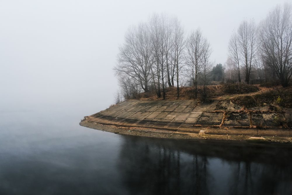 Photo #13433245