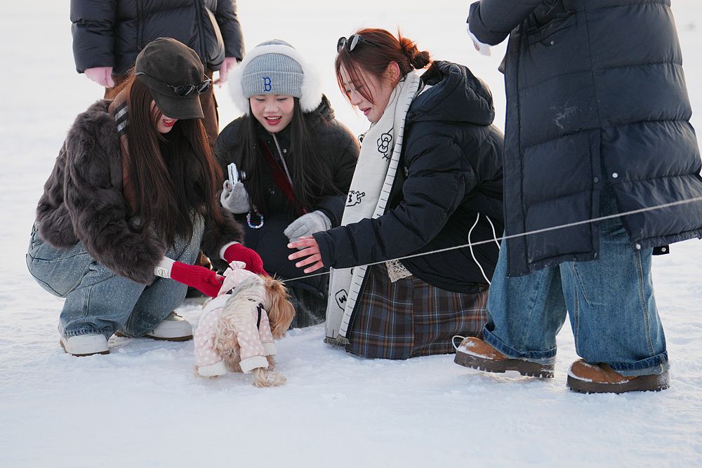 Photograph by Яна Егорова