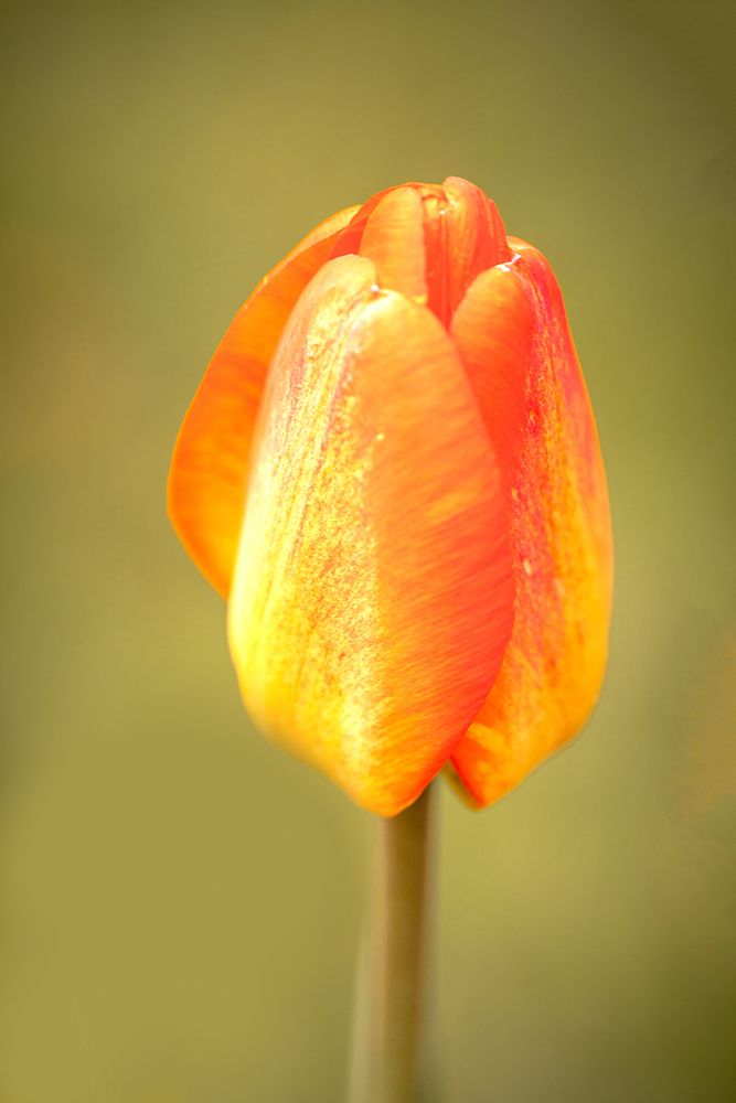 Photograph by Сергей Белокуров