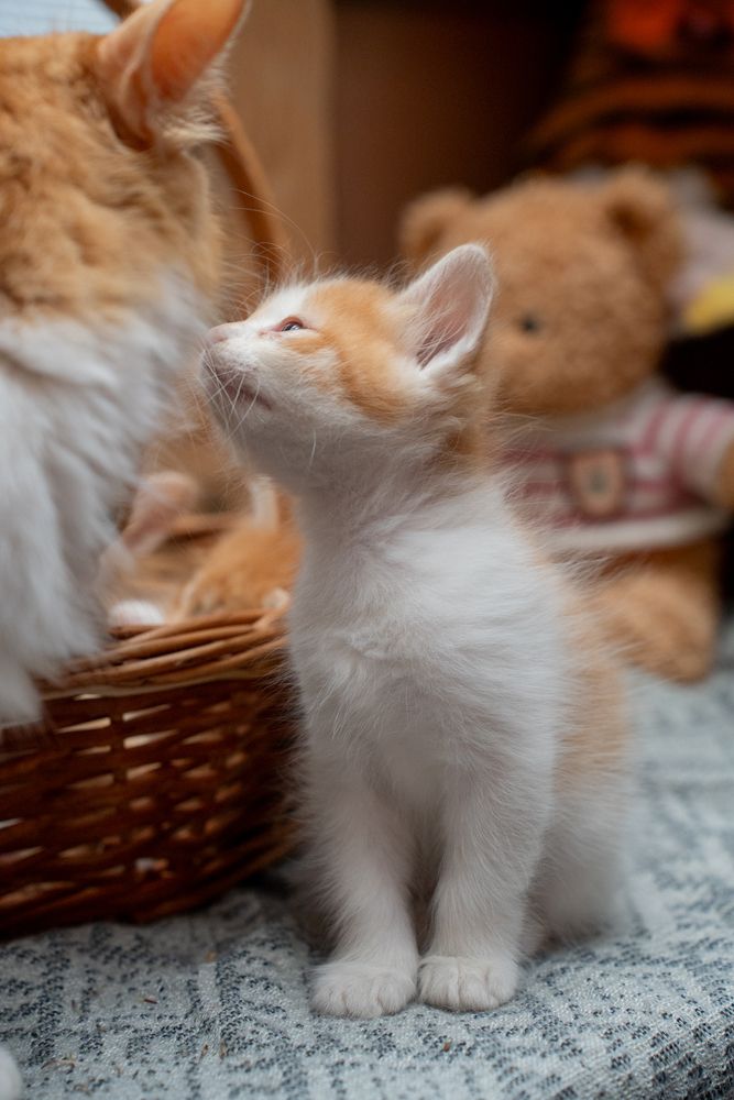 Photograph by Olesya Vladimirova