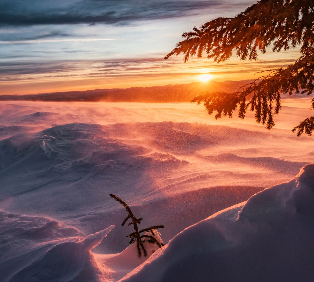 Photograph by Елена Соколова