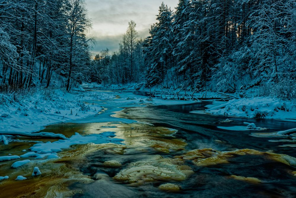 Photograph by Александр Селезнев