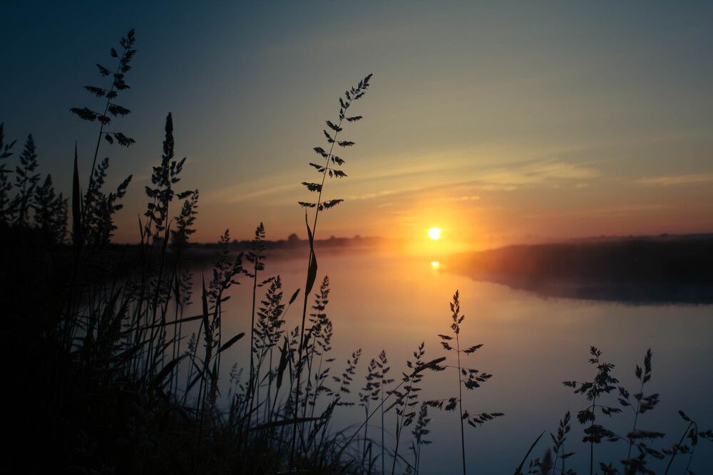 Photograph by Елена