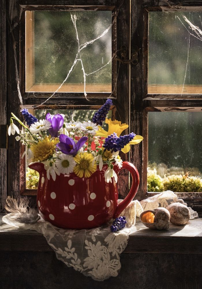 Photograph by Olga Schmidt