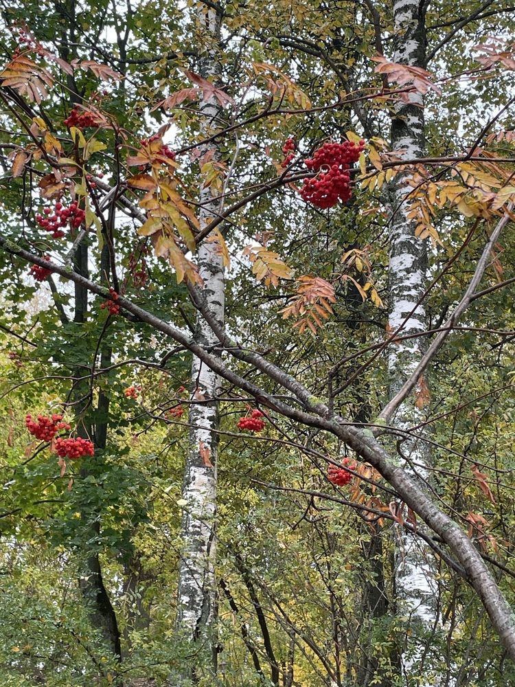 Photograph by Марина Максимова