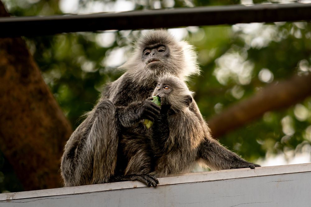 Photograph by Minh Thuan Nguyen