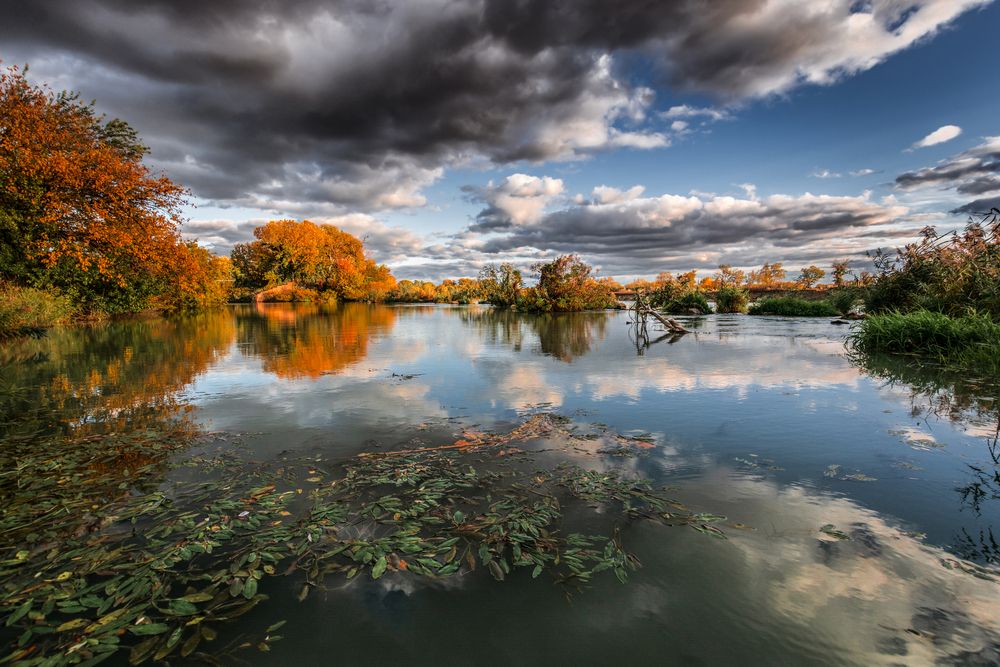 Photograph by Григорова Мария