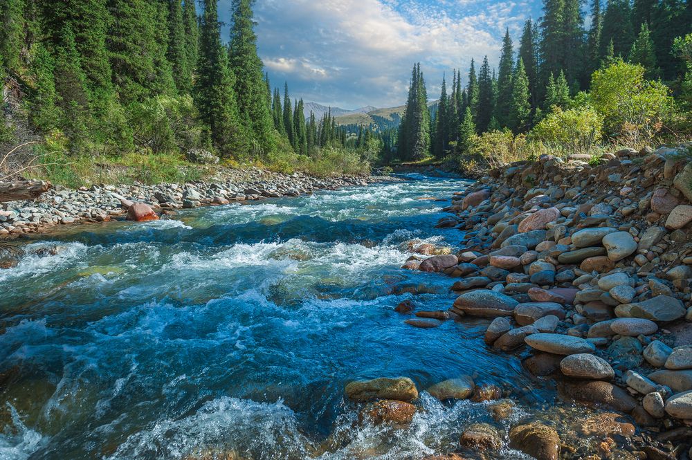 Photograph by Виктор Садырин